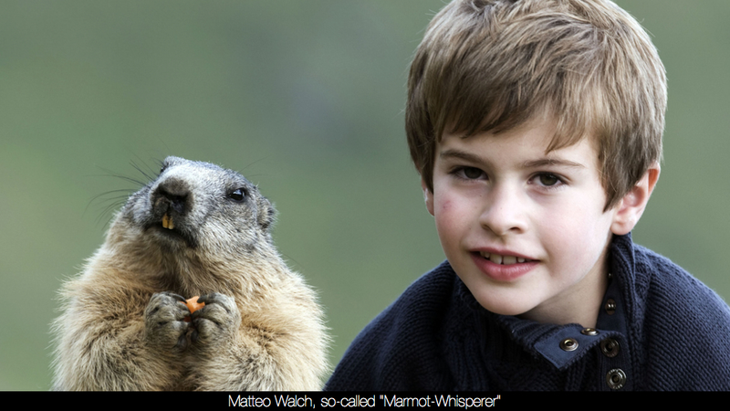 Illustration for article titled Science demands that you stop calling this kid the 'Marmot Whisperer'